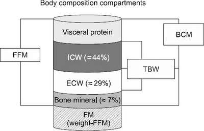 JCN-07-09-fig-1.jpg