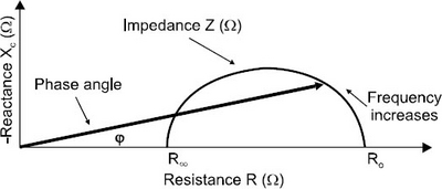 JCN-07-09-fig-2.jpg