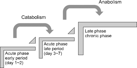 JCN_11_031_fig_1.jpg