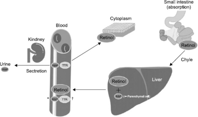 SMN_06_007_fig_1.jpg