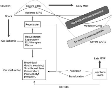 SMN_7_013_fig_1.jpg