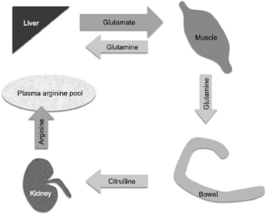 SMN_7_013_fig_2.jpg