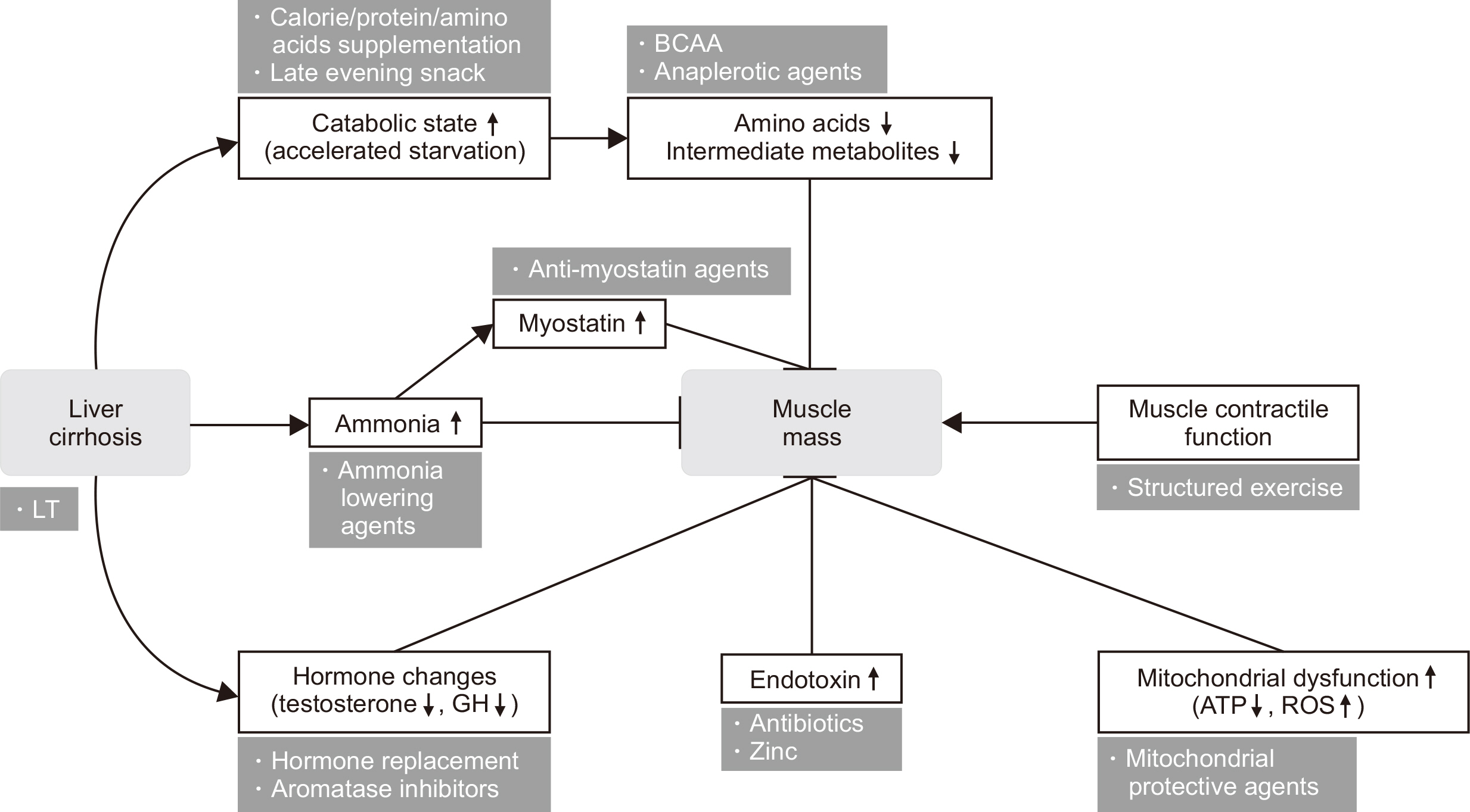 acnm-14-1-2-f2.jpg