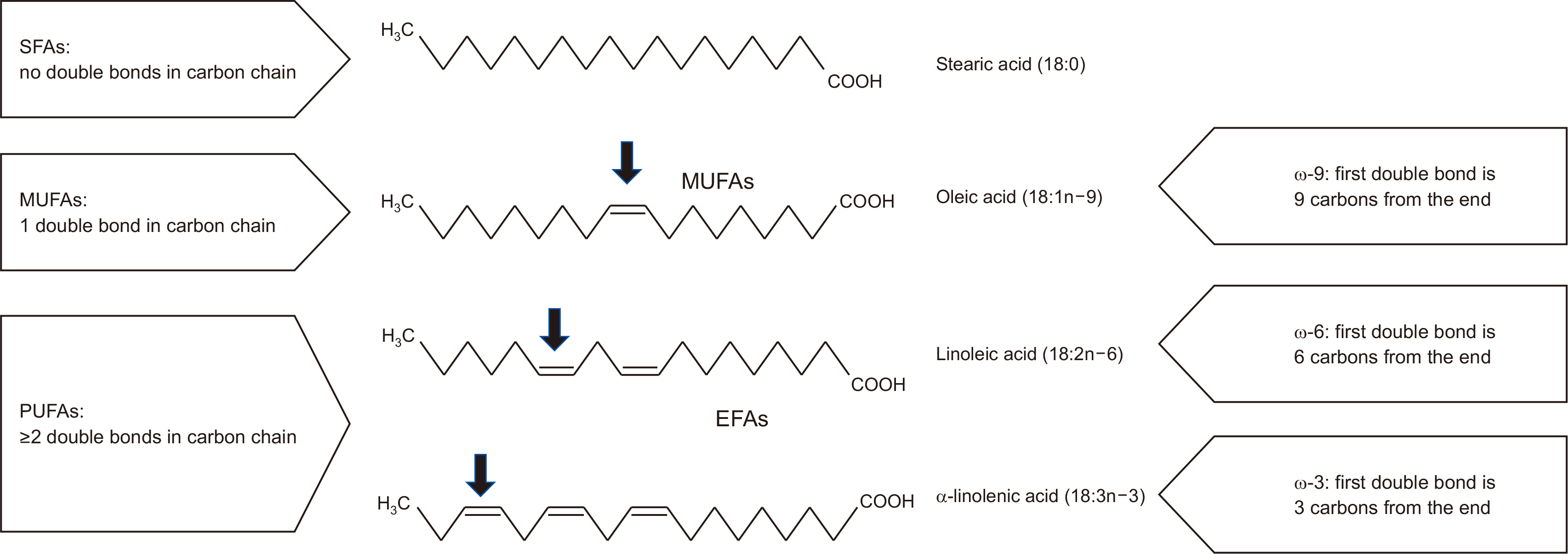 acnm-15-1-2-f1.jpg